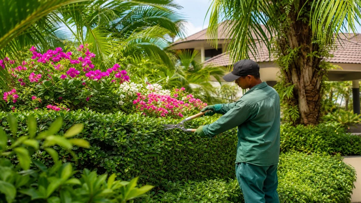 บริการช่างสวนภูเก็ต — จองช่างมืออาชีพ | Andaman Home Service
