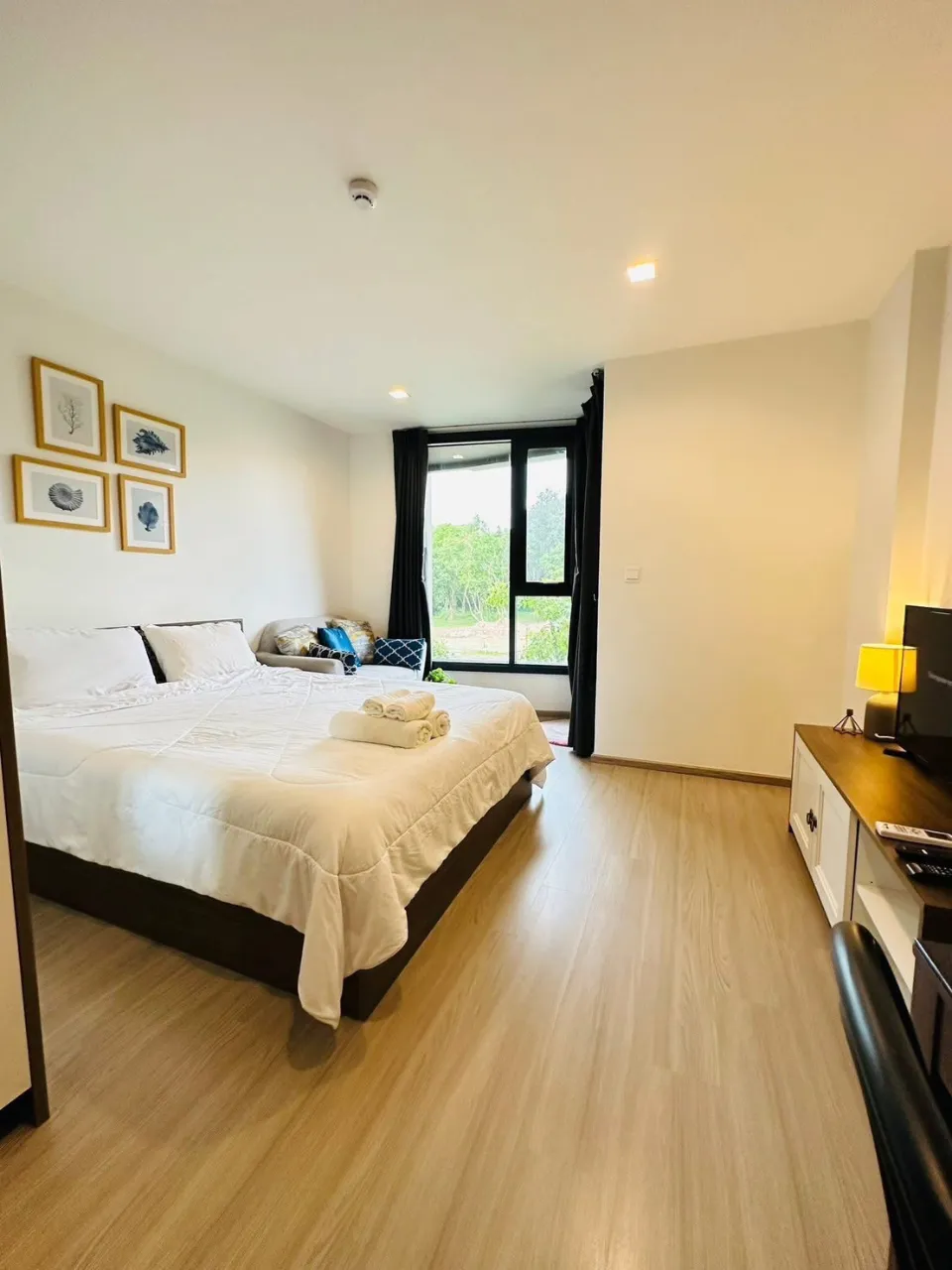 Property 593